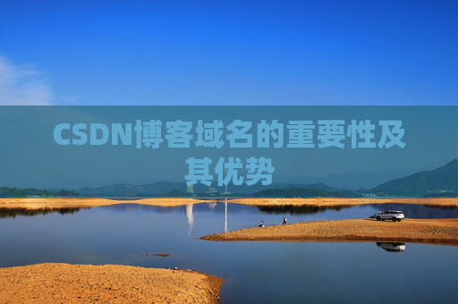 CSDN博客域名的重要性及其优势